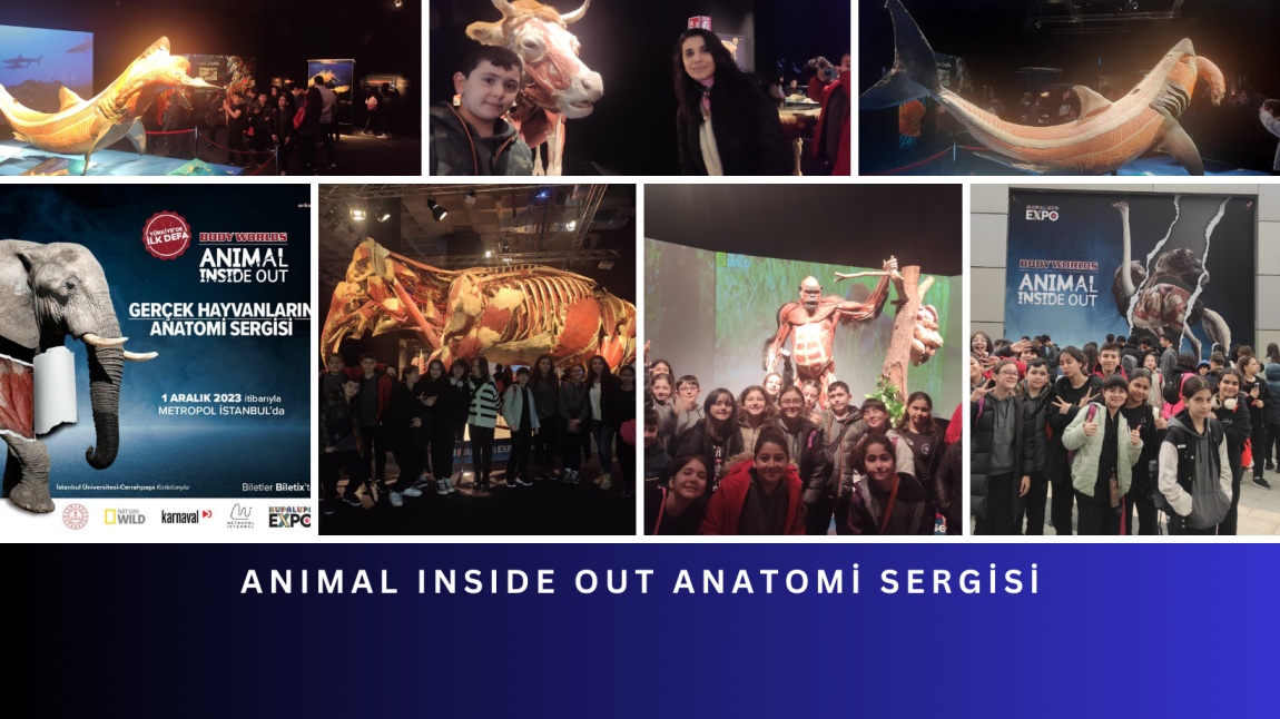 Gezi - Animal Inside Out Anatomi Sergisi